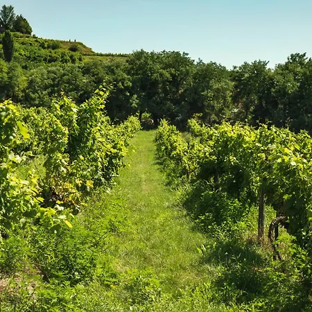 In - Balaton 44880 Apartamento Hévíz